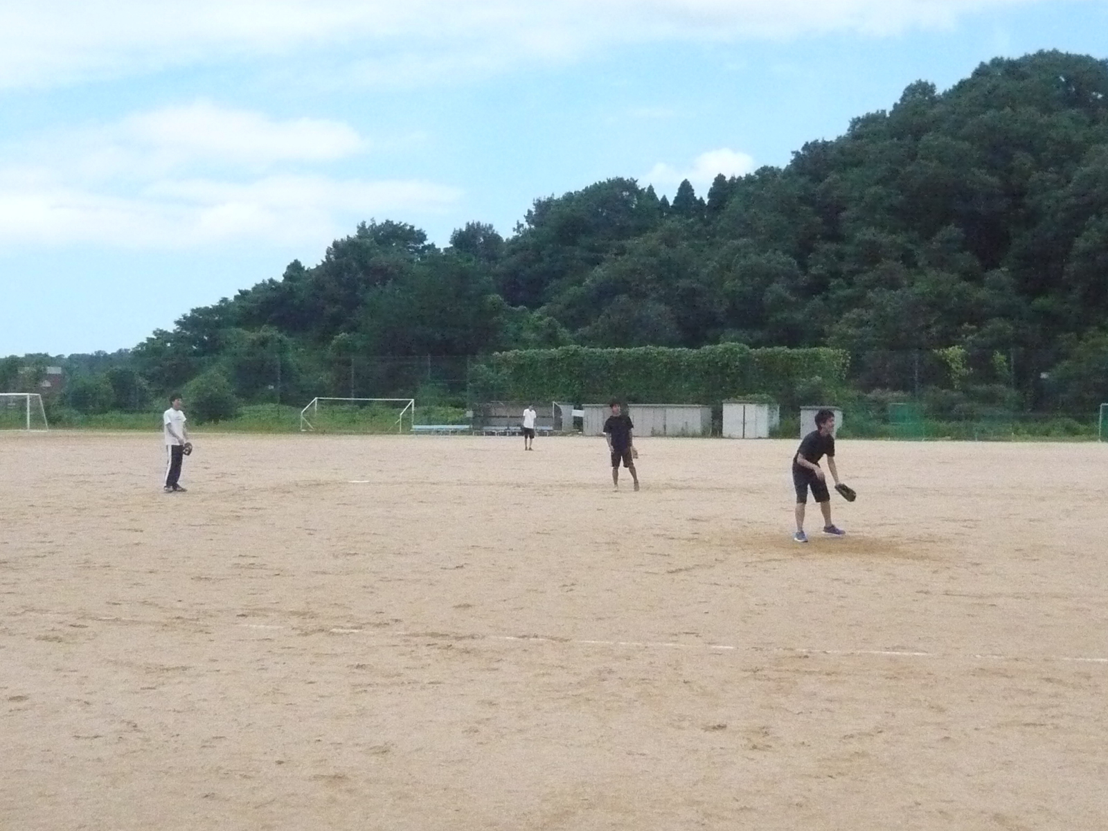 softball-2015-4